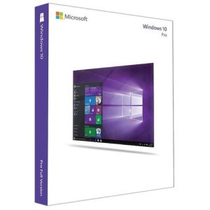 Windows 10 Professional